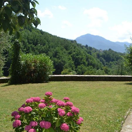 La Limonaia Di Casagrande Villa Barga Exterior photo