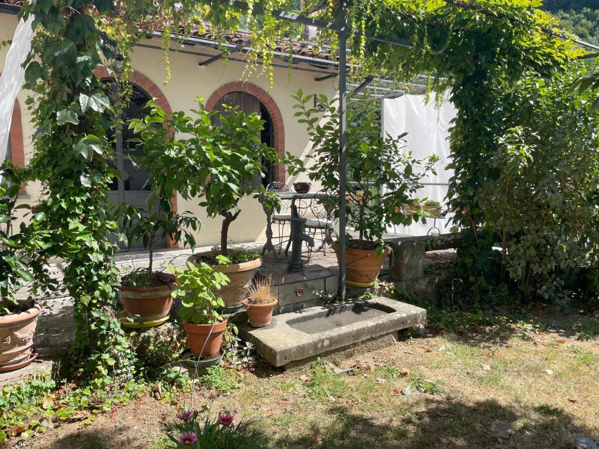 La Limonaia Di Casagrande Villa Barga Exterior photo